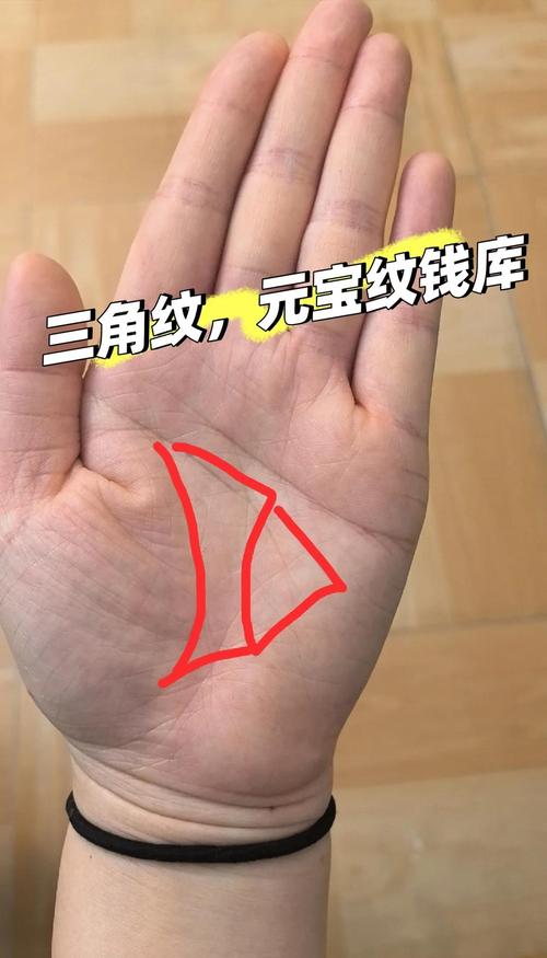 有錢人手相是不是都有金房子 三角紋代表財富極好