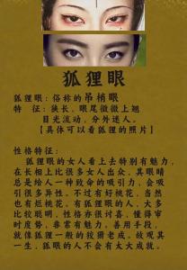 狐貍眼面相分析解析