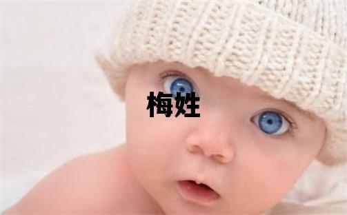 梅姓有涵養(yǎng)的男孩名字