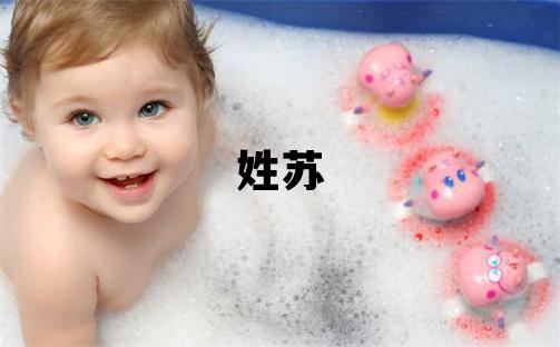 姓蘇叫什么名字好 姓蘇的男孩有詩意的名字