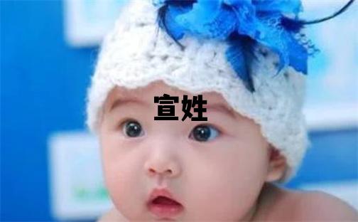 宣姓優(yōu)美的男寶寶名字