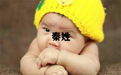 秦姓大氣文雅的女孩名字,取什么名字好