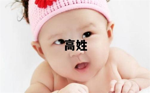 高姓有靈氣的男孩名字
