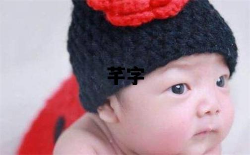 芊字五行屬什么 芊字女孩最佳組合名字