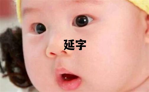 延字取名的寓意和含義 男孩用延字取名