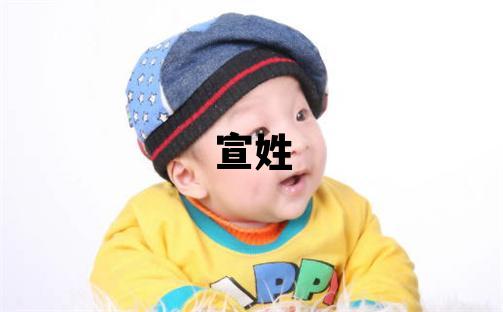宣姓朗朗上口的男孩名字