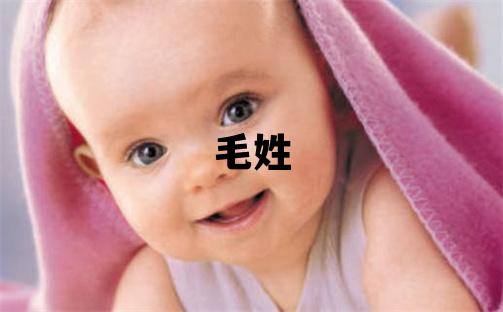 毛姓洋氣的女孩名字,取什么名字好
