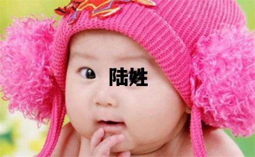 陸姓優美大方的男孩名字,取什么名字好