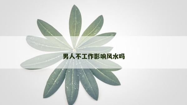 男人不工作影響風水嗎 男人不工作影響風水嗎
