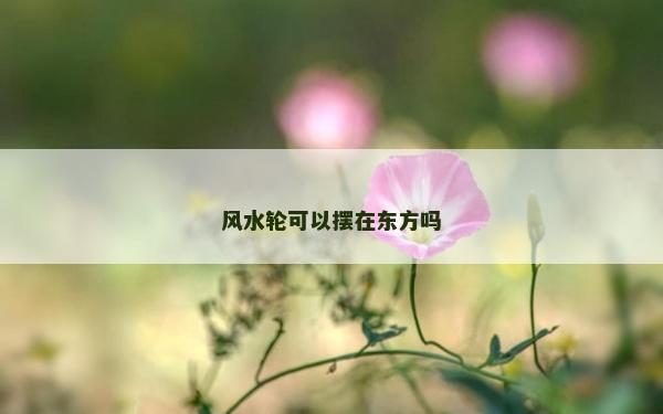 風(fēng)水輪可以擺在東方嗎