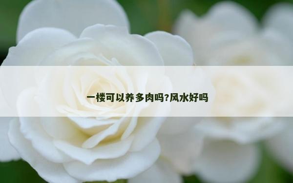 一樓可以養(yǎng)多肉嗎?風(fēng)水好嗎