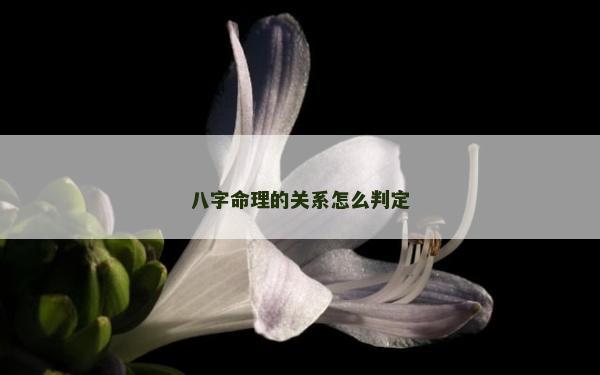 八字命理的關(guān)系怎么判定