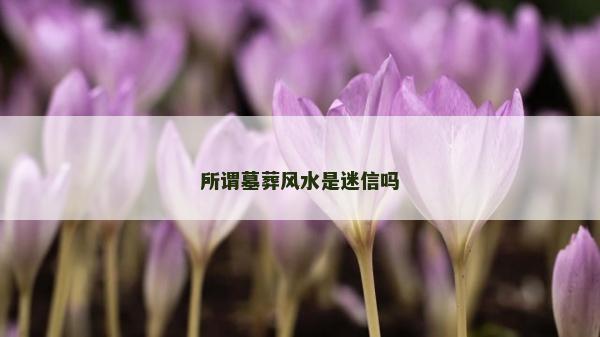 所謂墓葬風水是迷信嗎