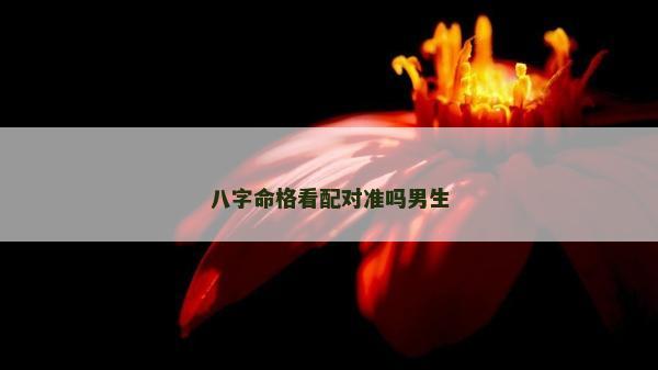 八字命格看配對準嗎男生
