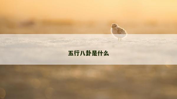 五行八卦是什么 五行八卦是什么