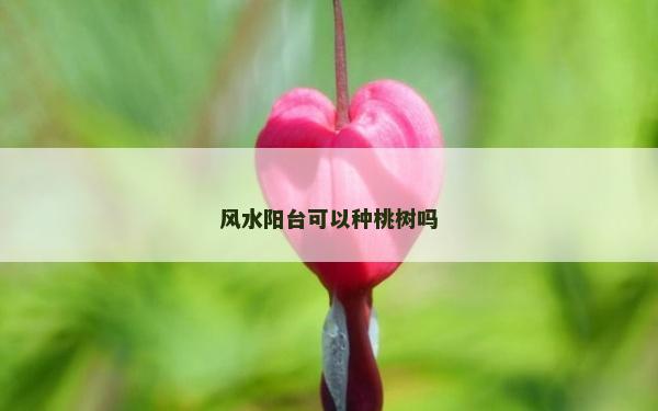 風水陽臺可以種桃樹嗎