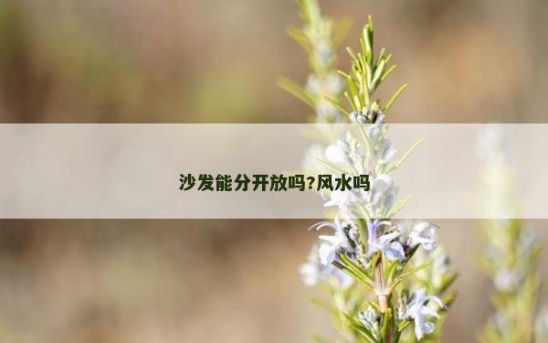 沙發能分開放嗎?風水嗎