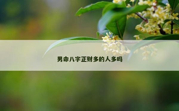 男命八字正財多的人多嗎 男命八字正財多的人多嗎