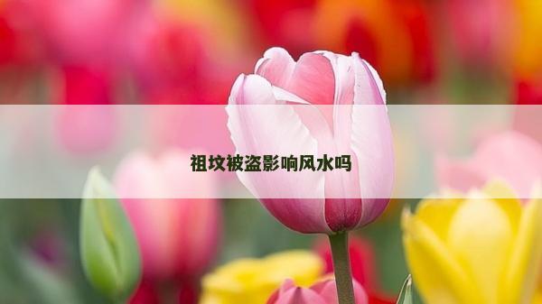 祖墳被盜影響風(fēng)水嗎 祖墳被盜影響風(fēng)水嗎