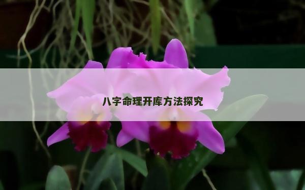 八字命理開庫(kù)方法探究