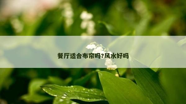 餐廳適合布簾嗎?風(fēng)水好嗎