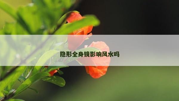 隱形全身鏡影響風(fēng)水嗎