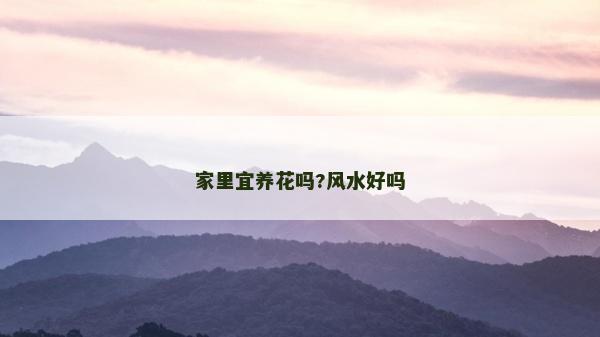 家里宜養花嗎?風水好嗎