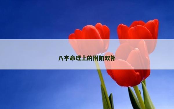 八字命理上的陰陽(yáng)雙補(bǔ)