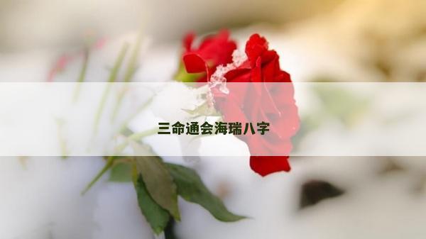 三命通會海瑞八字 三命通會海瑞八字