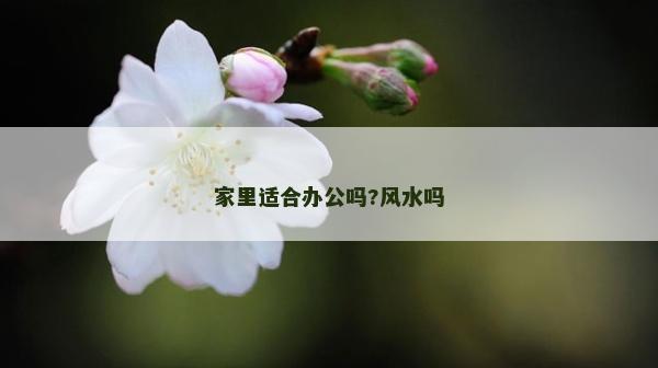 家里適合辦公嗎?風(fēng)水嗎