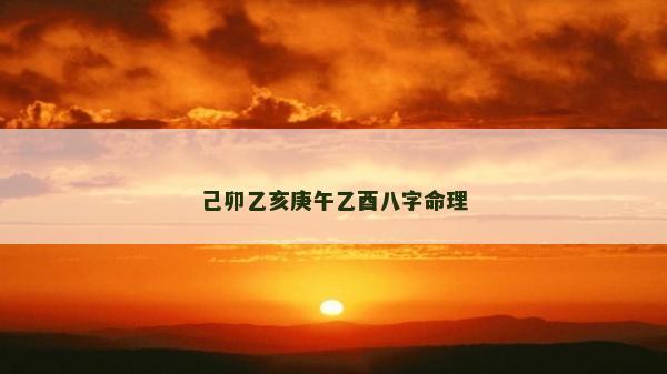 己卯乙亥庚午乙酉八字命理 己卯乙亥庚午乙酉八字命理