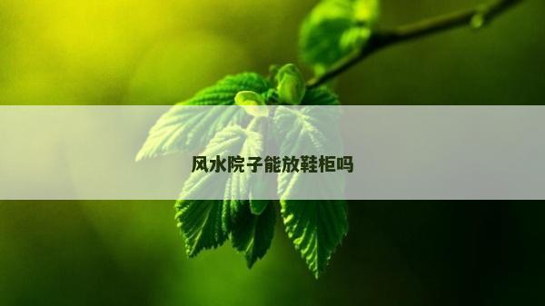 風水院子能放鞋柜嗎 風水院子能放鞋柜嗎