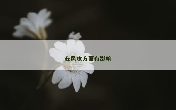 在風水方面有影響