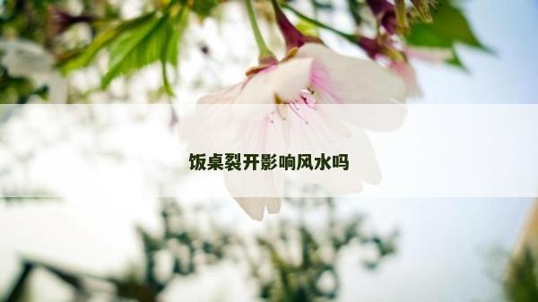 飯桌裂開影響風水嗎 飯桌裂開影響風水嗎
