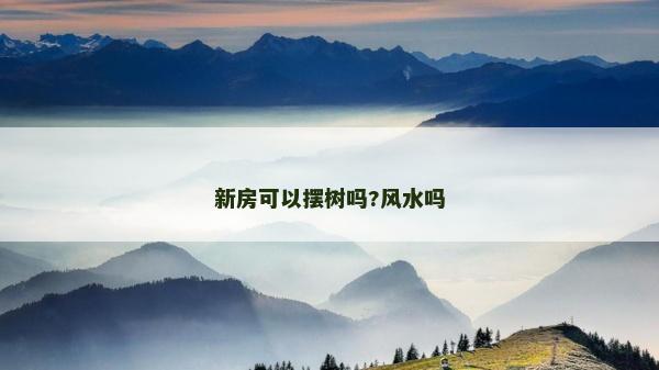 新房可以擺樹嗎?風(fēng)水嗎