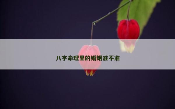 八字命理里的婚姻準不準