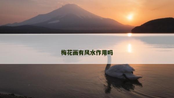 梅花畫(huà)有風(fēng)水作用嗎 梅花畫(huà)有風(fēng)水作用嗎