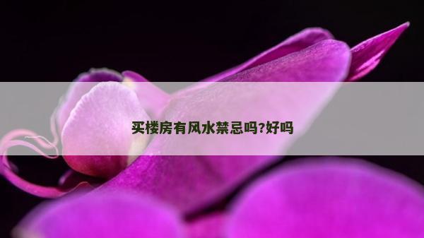 買樓房有風水禁忌嗎?好嗎 買樓房有風水禁忌嗎?好嗎