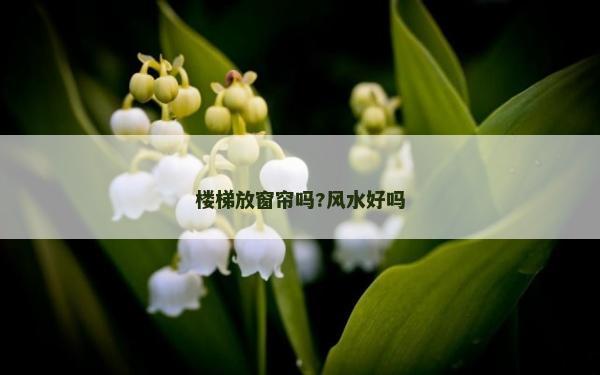 樓梯放窗簾嗎?風水好嗎