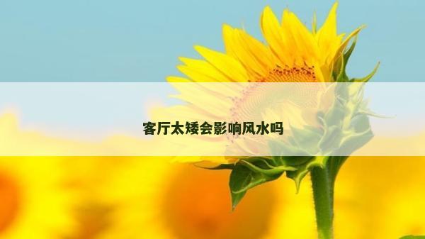 客廳太矮會影響風水嗎