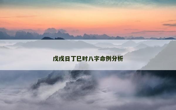 戊戌日丁巳時(shí)八字命例分析