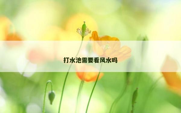 打水池需要看風水嗎