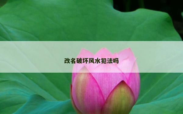 改名破壞風(fēng)水犯法嗎