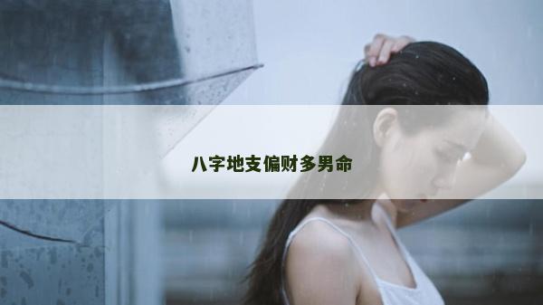 八字地支偏財多男命
