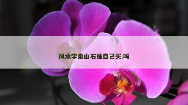 風(fēng)水學(xué)泰山石是自己買.嗎