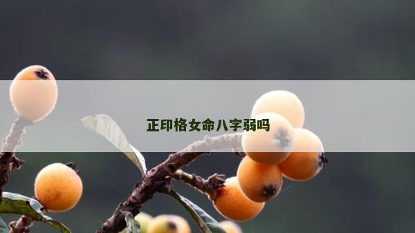 正印格女命八字弱嗎