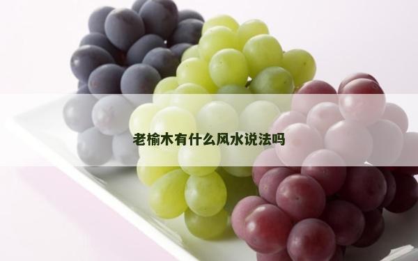 老榆木有什么風(fēng)水說法嗎