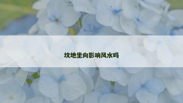 墳地坐向影響風(fēng)水嗎 墳地坐向影響風(fēng)水嗎