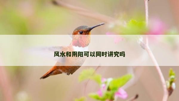 風(fēng)水和陰陽(yáng)可以同時(shí)講究嗎