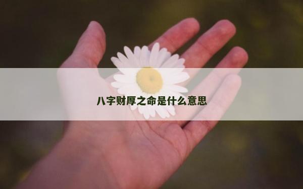 八字財厚之命是什么意思 八字財厚之命是什么意思